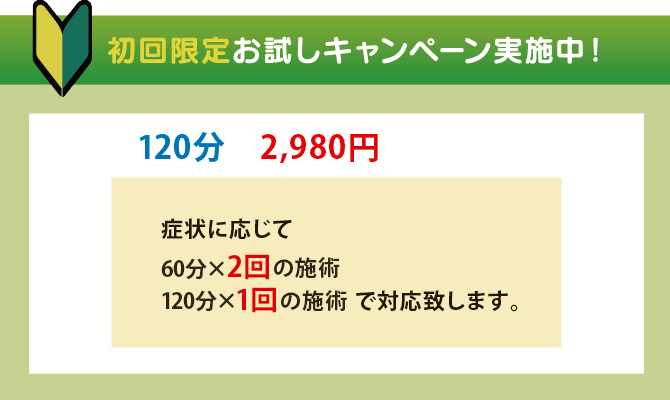 初回限定お試しキャンペーン実施中! 初回限定お試しキャンペーン実施中!