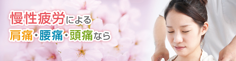 慢性疲労による肩痛・腰痛・頭痛なら 慢性疲労による肩痛・腰痛・頭痛なら